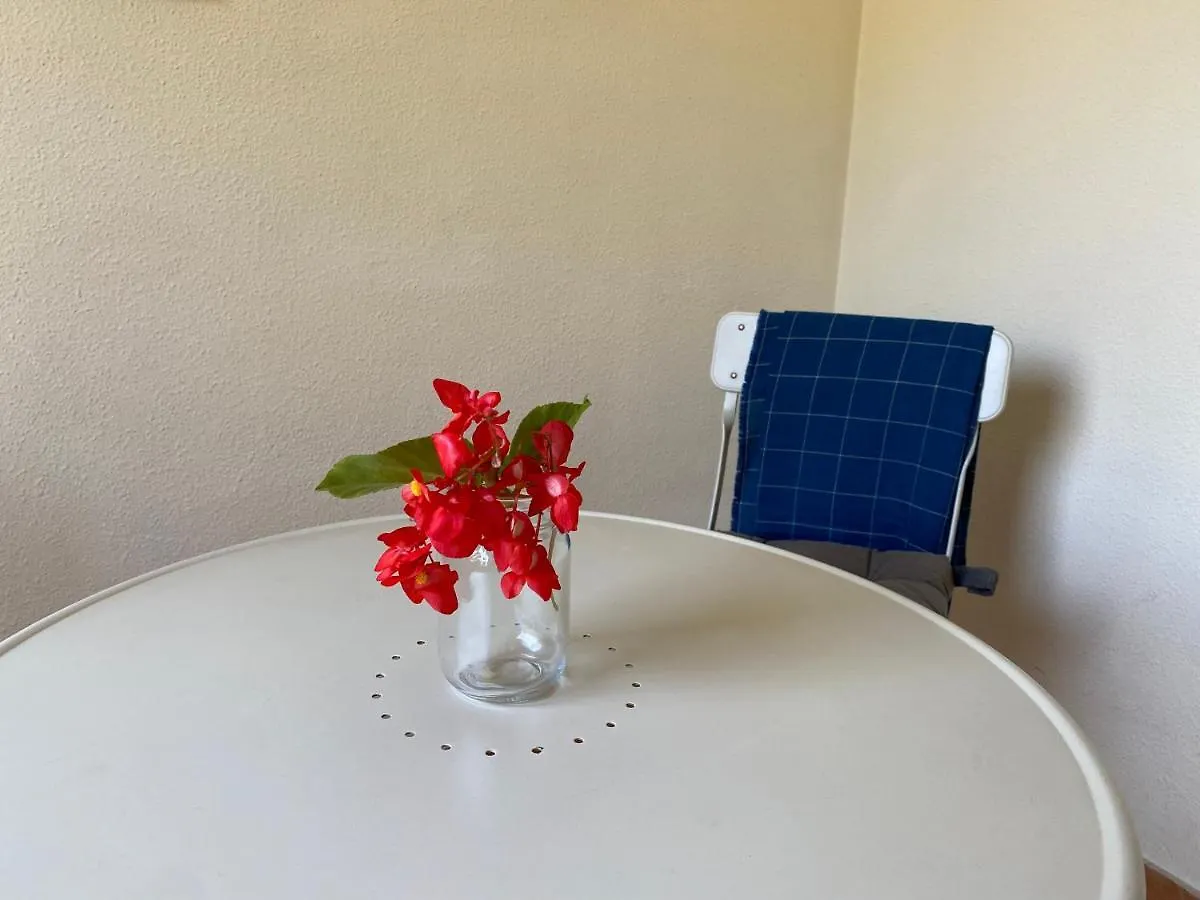 Hostal Moscatel Malaga Guest house